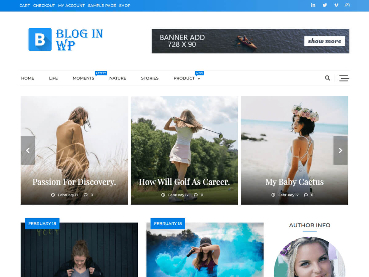 Bloginwp WordPress theme