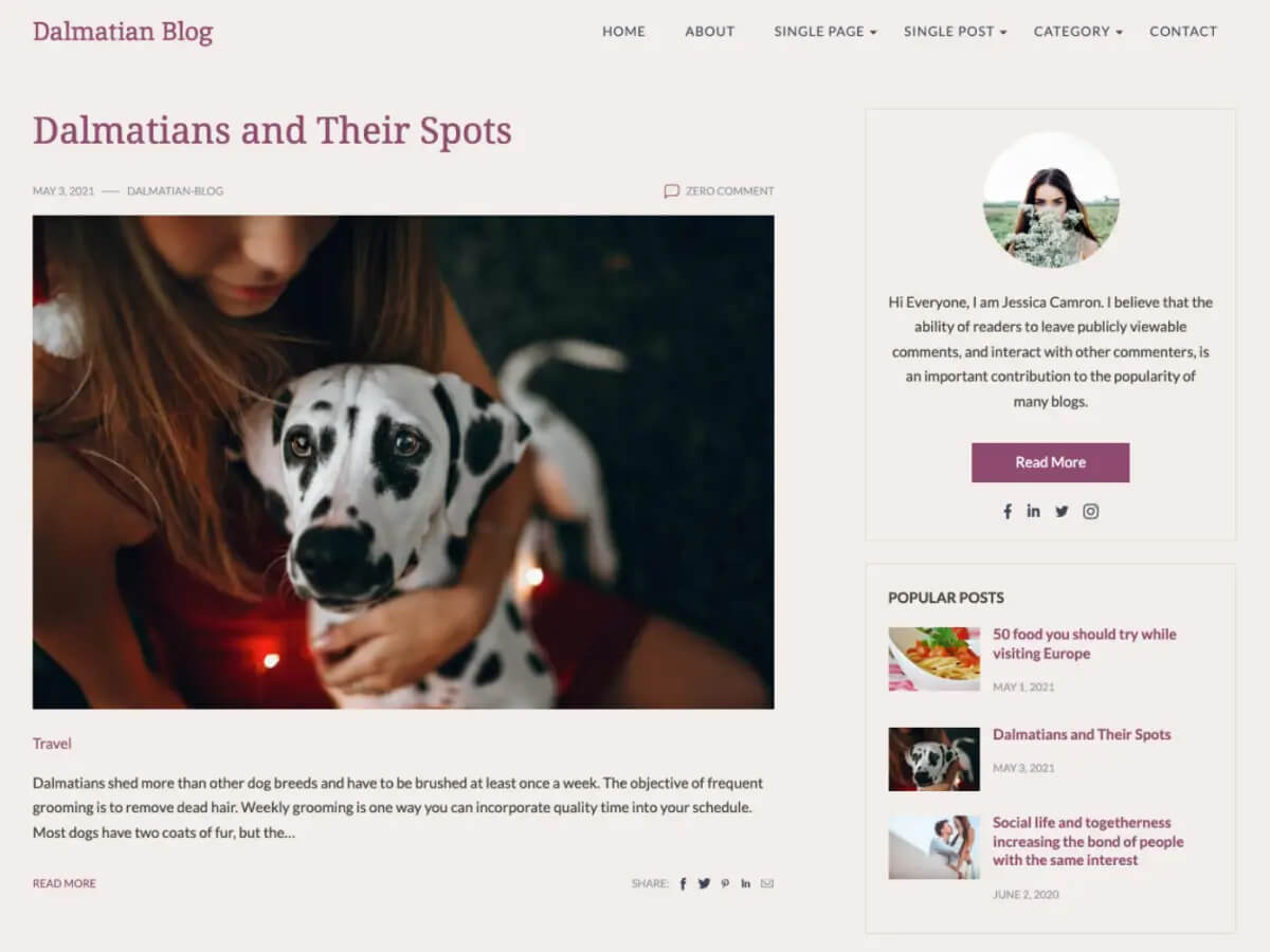Dalmatian Blog WordPress theme
